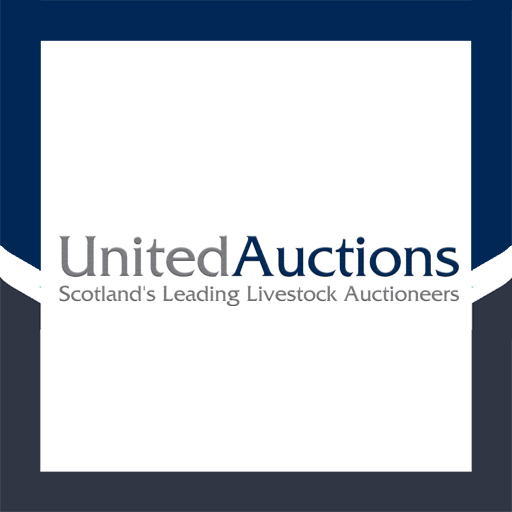 United Auctions